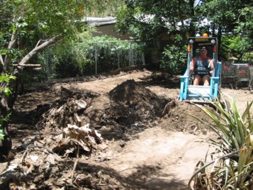 bobcat and soil