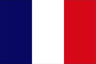 http://HaigReport.com/Flags/20110710FlagOfFrance_cr.jpg