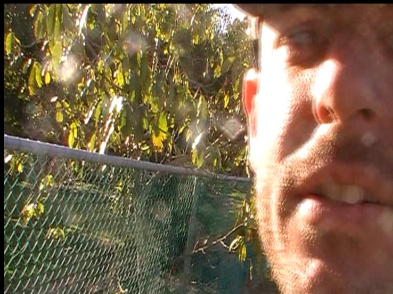 http://HaigReport.com/Photos/20110717FirstCriminalAssailantAssaultingVulnerableDisabledOldManAustralianPoliceRefuseToAct09_cr01.jpg