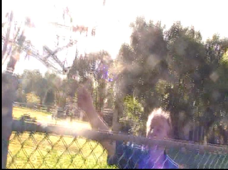 http://HaigReport.com/Photos/20110717SecondCriminalAssailantDirectingAssaultAssaultingVulnerableDisabledOldManAustralianPoliceRefuseToAct01_cr01.jpg